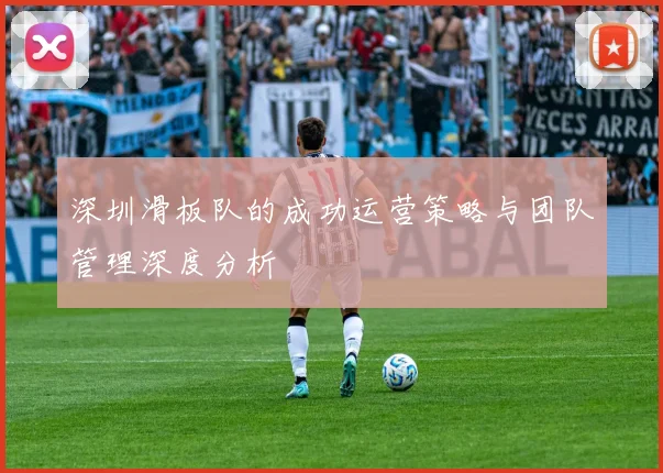 深圳滑板队的成功运营策略与团队管理深度分析